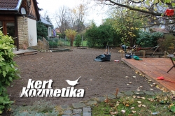 Terület kitisztítása (6)